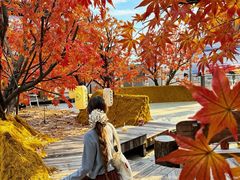 -Blue Concept Cafe&Farm·關於藍