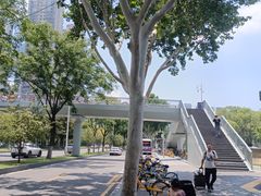 -后襄河公园