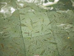 -杭州第一世界大酒店·云曼温泉