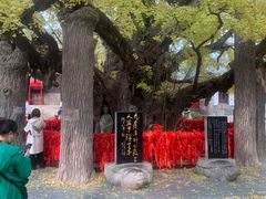 -浮来山风景区