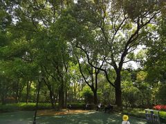 -徐家汇源景区-衡山公园