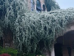 -府河摄影公园
