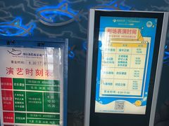 -烟台海昌鲸鲨海洋公园