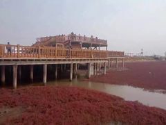 -红海滩国家风景廊道