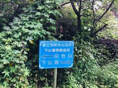 -阳台山自然风景区