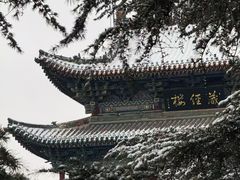 -迎泽公园