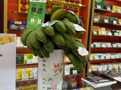 -同仁堂(北苑双营路店)