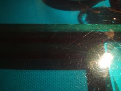 -辛香汇(大华第一坊店)