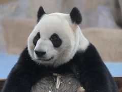 -无锡动物园·太湖欢乐园