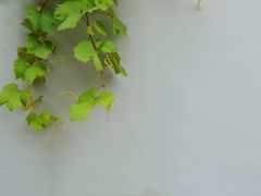 -常熟路(地铁站)