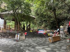 -石台牯牛降景区