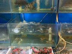 -福建美食城(老君堂店)