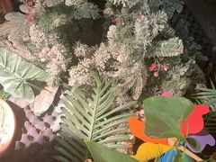 -泰古龙抓龙筋·spa按摩(静安店)