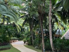 -三亚湾海居铂尔曼度假酒店