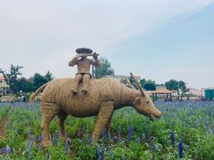 -静之湖湖畔餐厅