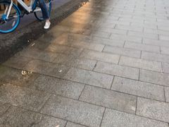 -中山美食街