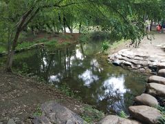 -长白岛森林公园