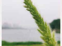 -南宁南湖公园