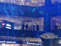 -成都浩海立方海洋公园