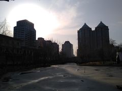 -团结湖公园