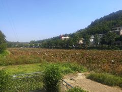 -红山村