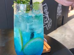 -瞄一喵猫咖(格力海岸店)