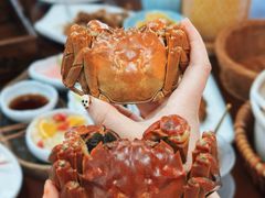 -蟹村草堂·苏式园林人文农家·大闸蟹