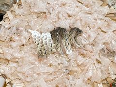 -官塘陈记鱼生·潮汕砂锅粥·牛肉火锅(潮枫路总店)