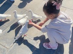 -天津妈祖文化园