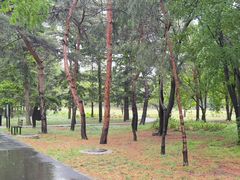 -国家植物园南园