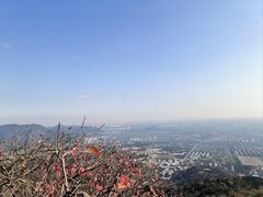 -北京西山国家森林公园