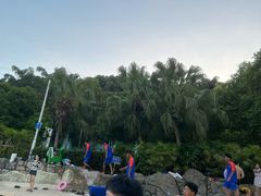 -重庆海昌加勒比海水世界