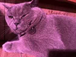 -青木造型HAIR·あおき髪を刈る潮人店