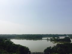 -大湾区中央湿地公园