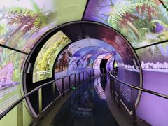 -房山世界地质公园博物馆