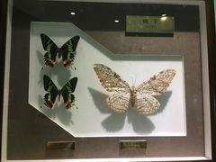-上海昆虫博物馆
