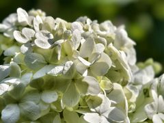 -杭州城北体育公园