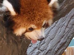 -辛玛王国游乐园