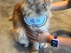 -凯德广场(武胜路店)