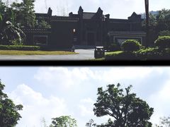 -宝安西湾红树林湿地公园