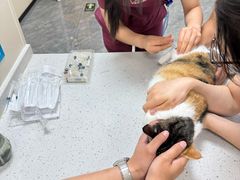 -美联众合爱康动物医院•复杂内科•肿瘤科•牙科•腔镜诊疗中心