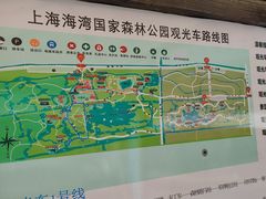 -上海海湾国家森林公园