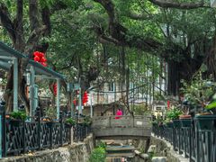 -小洲村
