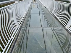 -田园寨农园观光园