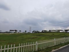 -紫颐香薰山谷景区