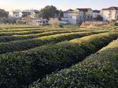 -敬亭山风景名胜区