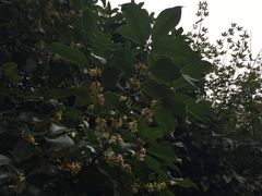 -杭州少年儿童公园