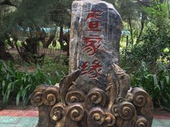 -北海金海湾红树林生态旅游区