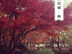 -汇龙潭