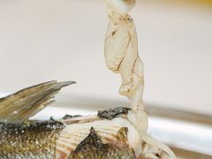 -东坊味道私房菜·地道顺德菜(大良店)